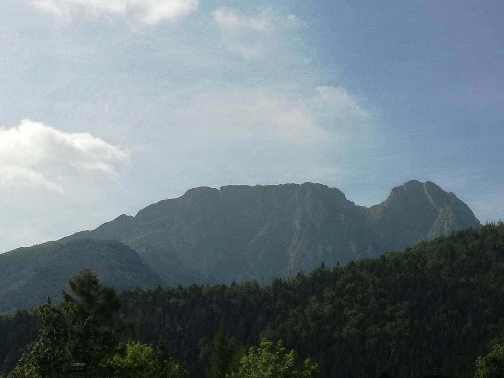 U Obrochty Lejlighed Zakopane Eksteriør billede